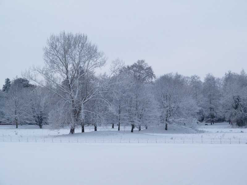 The Backs, King's College, Cambridge, England