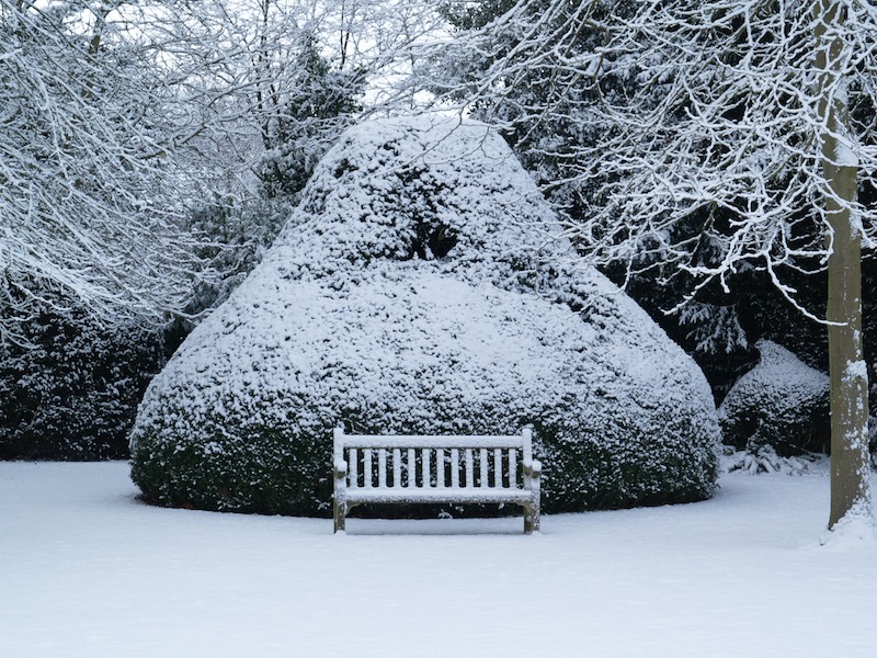 bench, Fellows' Garden, Trinity College, Cambridge, England