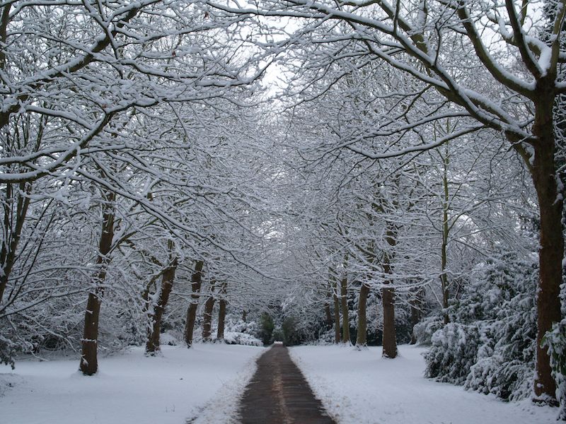 continuation of The Avenue, Fellows' Garden, Trinity College, Cambridge, England