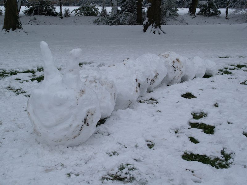 snow caterpillar, The Backs, Cambridge, England