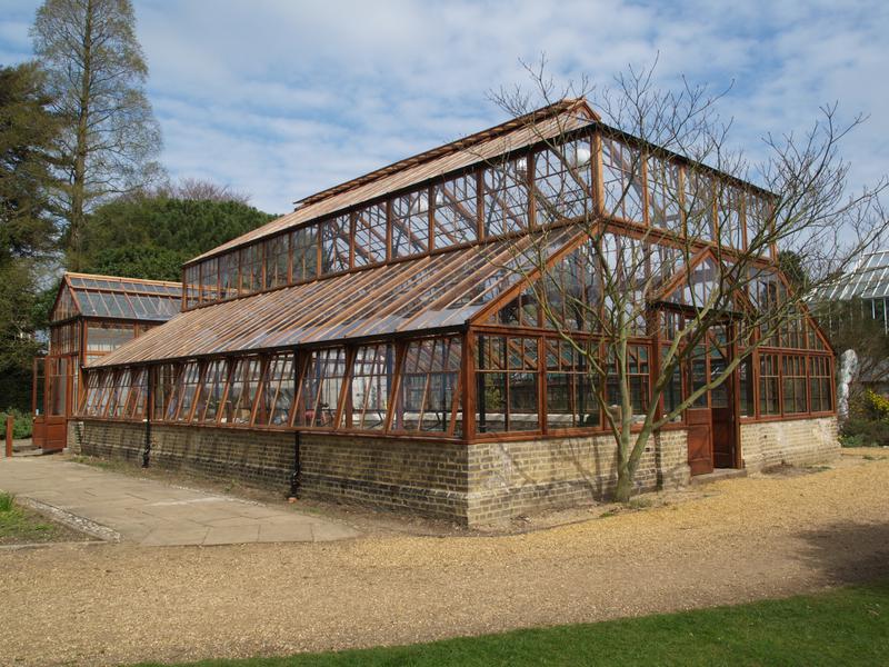 Botanic Garden: Temperate House