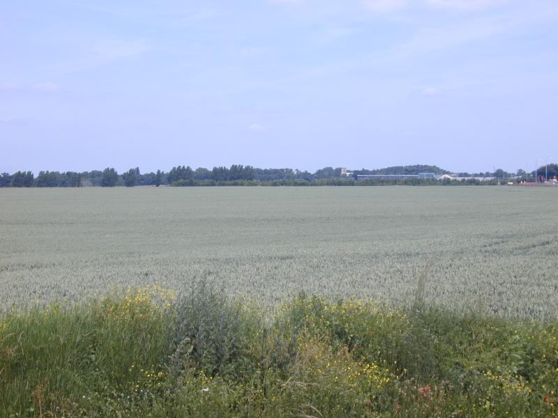 Hauxton Road: border of