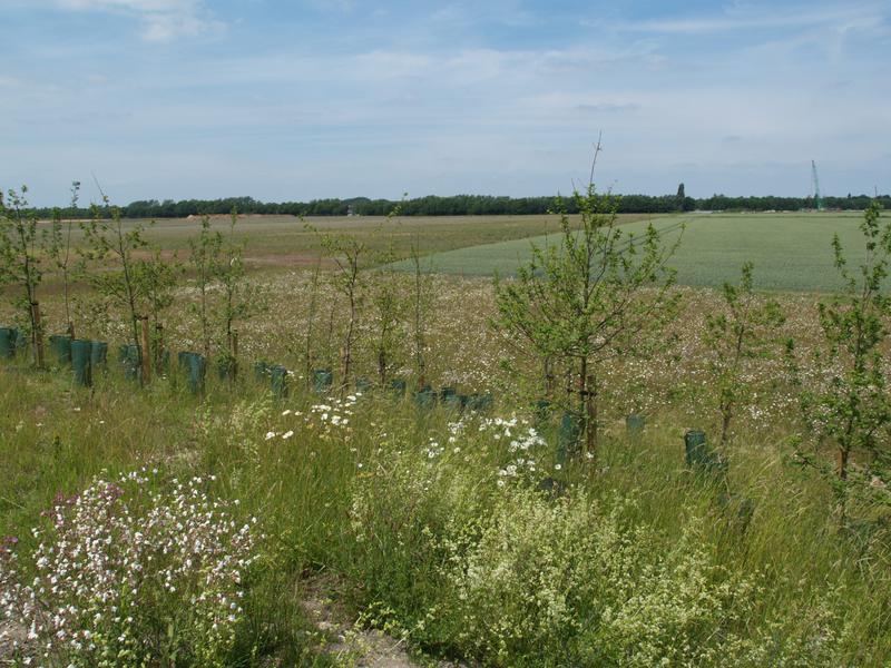 Shelford Road: border of