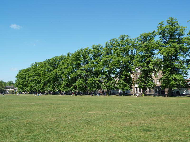 Parker's Piece: Parkside