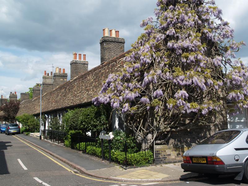 Orchard Street: 3-13 (Charles Humfrey)