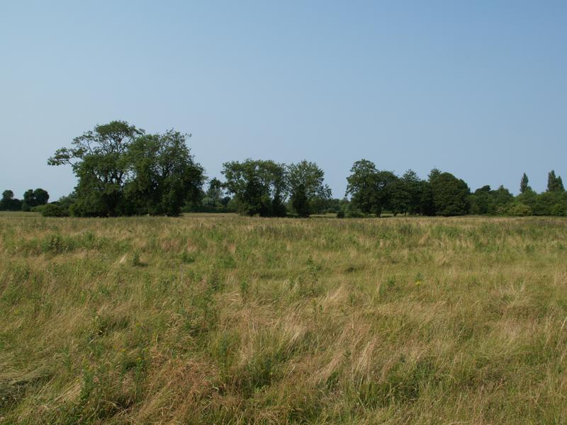 Stourbridge Common