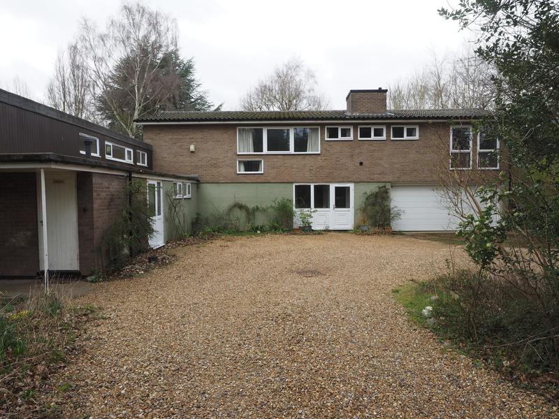Trumpington Road: 21 (David Ellis)