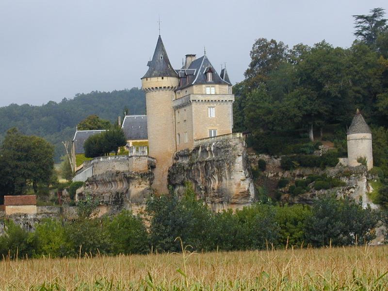 Saint-Leon-s-Vezere, France: Chateau de Belcayre: view