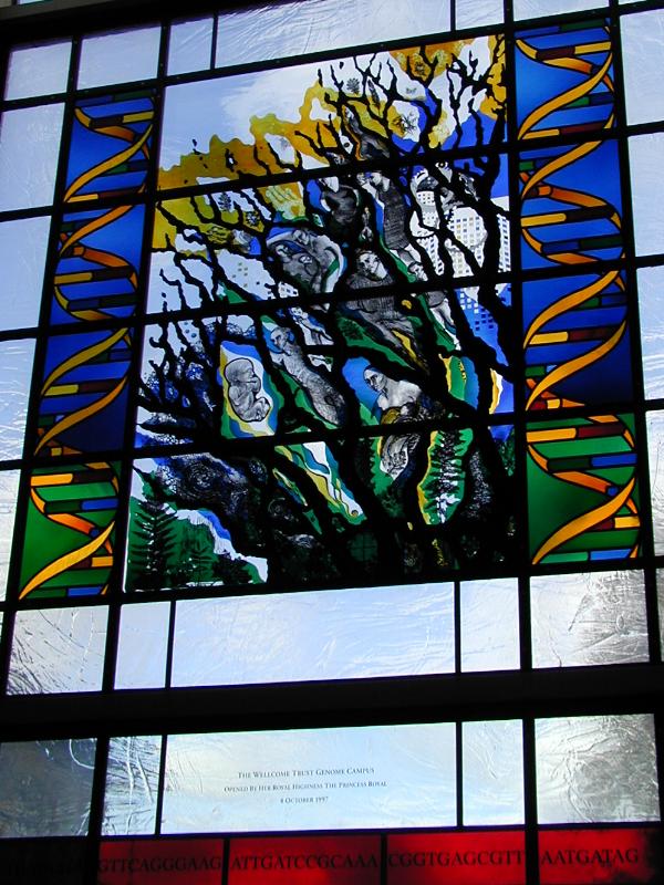 Hinxton, England: Sanger Institute (Wellcome Trust Genome Campus): Sulston Laboratories, stained glass window (1997, designed by Kathy Shaw, made by Derix Studios)