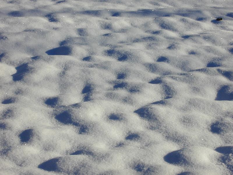 Northampton, Massachusetts (MA): Jackson Street: snow on field in sun