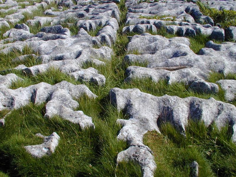Malham, England: Malham Cove: limestone rocks on top