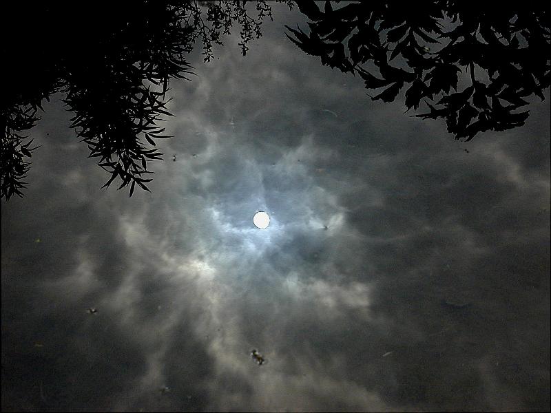 Cambridge, England: Botanic Garden: sun reflected in water (with increased contrast and decreased brightness)