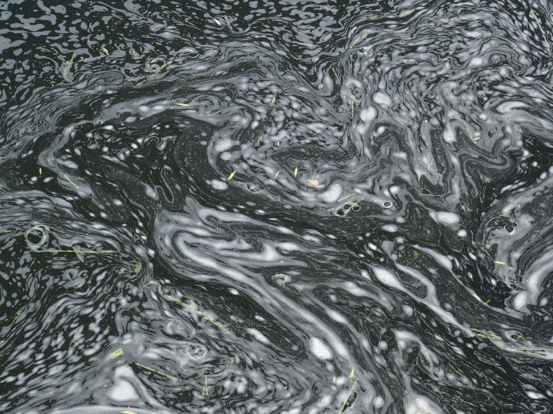 Cambridge, England: Cam: foam on water