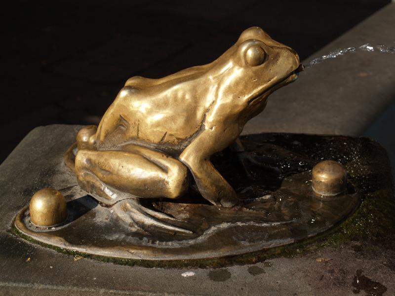 Torun, Poland: Rynek (Market Square): bronze frog (fountain detail) (1914)
