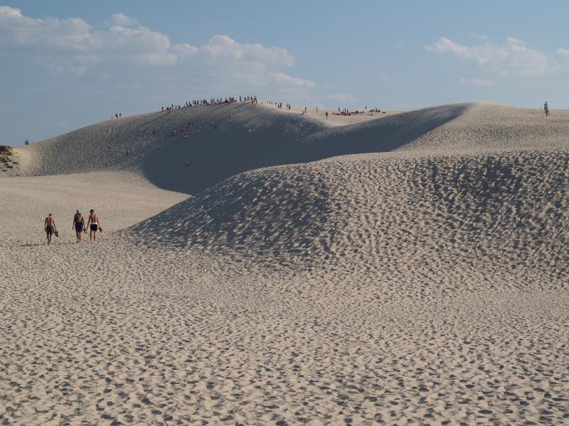 Slowinski National Park, Poland: Gora Lacka: sand dunes