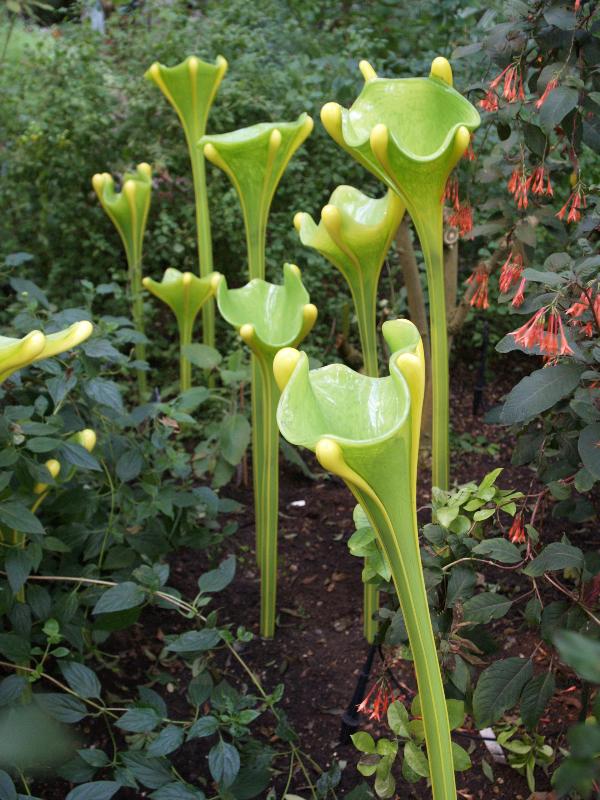 London, England: Kew Gardens: green 'Fiori' (glass artist Dale Chihuly)