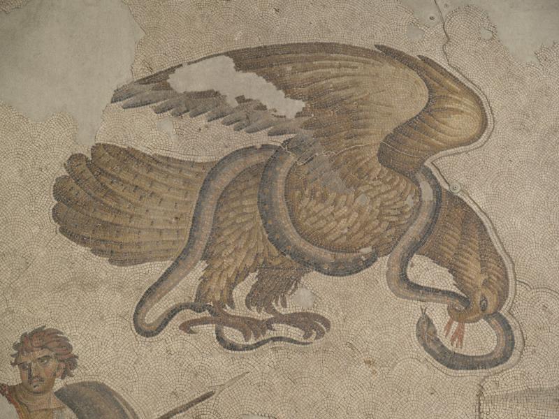 Istanbul, Turkey: Great Palace Mosaic Museum: mosaic detail of eagle eating snake (6th century, from palace of Justinian)