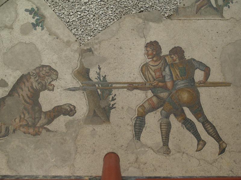 Istanbul, Turkey: Great Palace Mosaic Museum: mosaic detail of two hunters attacking tiger (6th century, from palace of Justinian)
