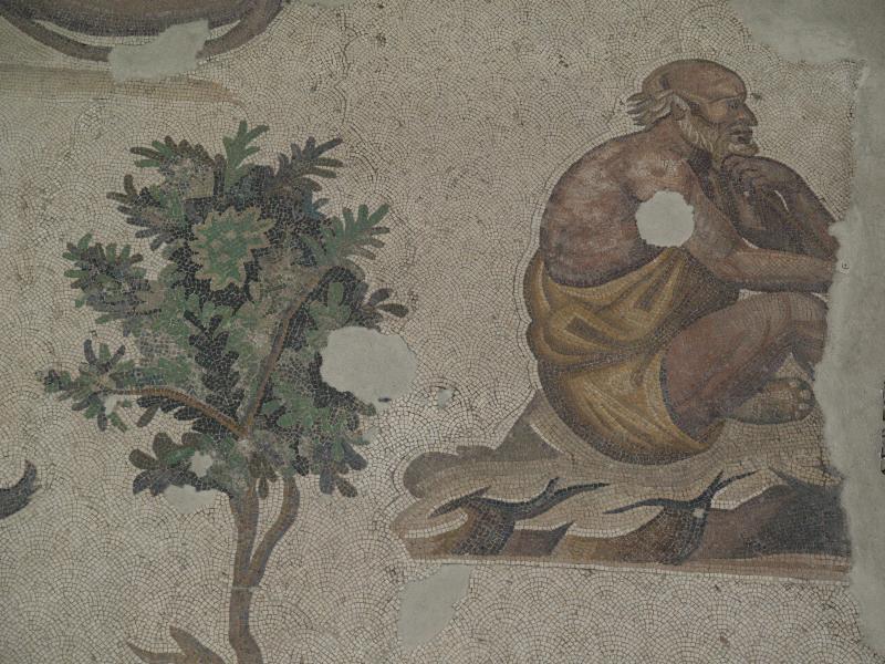 Istanbul, Turkey: Great Palace Mosaic Museum: mosaic detail of tree and man (6th century, from palace of Justinian)