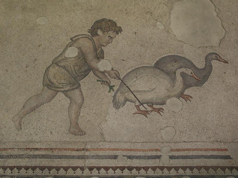 Istanbul, Turkey: Great Palace Mosaic Museum: mosaic detail of boy attending geese (6th century, from palace of Justinian)