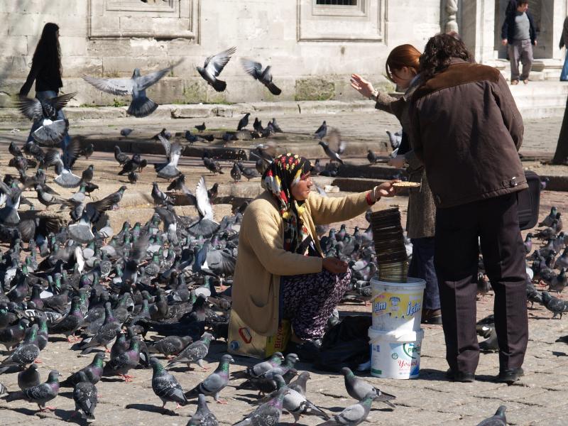 Istanbul, Turkey: Beyazit Square: feeding the pidgeons