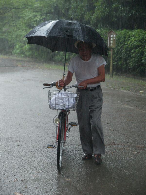 Kyoto, Japan: Kyoto Imperial Palace: man walking bicycle in rain