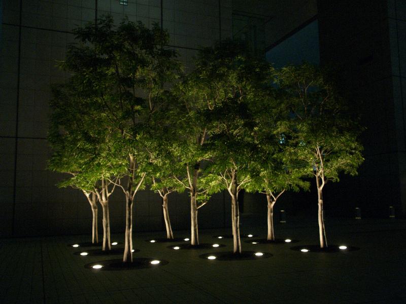 Tokyo, Japan: Shinjuku station (southern terrace): trees lit up