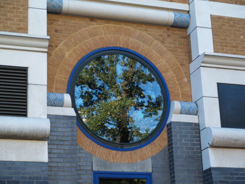 Cambridge, England: Judge Institute: reflection of tree in window