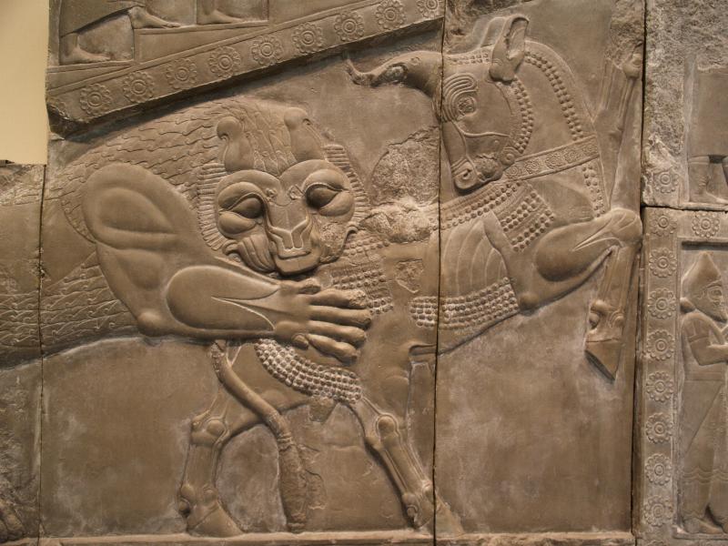 London, England: British Museum: lion attacking ox (19th century cast of staircase carvings, Palace of Darius, Persopolis, Iran)