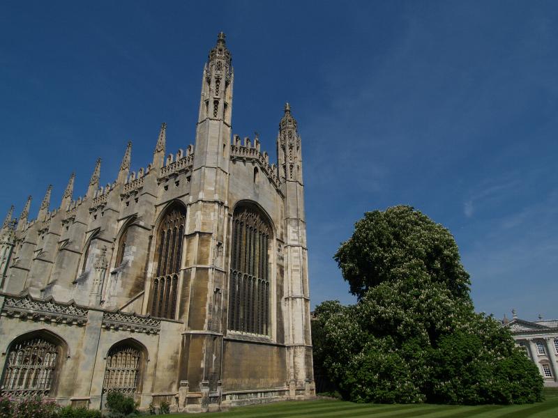 Cambridge, England: King's College: chapel with Horse Chestnut (Aesculus) tree in flower