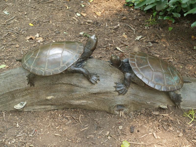 Winterthur, Delaware (DE): Winterthur estate: turtles (2001, Andre Harvey) (in Enchanted Woods)