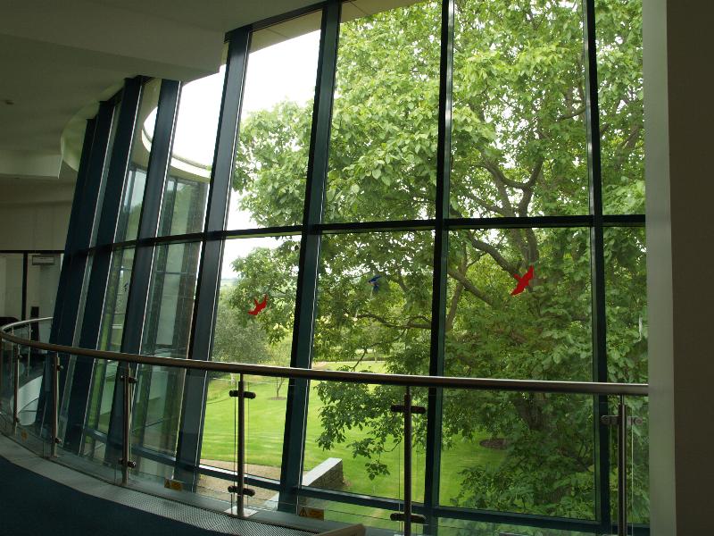 Newton Rigg, Cumbria, England: University of Cumbria (until 2007 was part of University of Central Lancashire): library window from inside (2001)