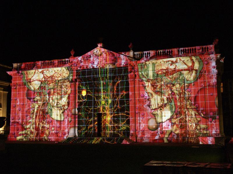 Cambridge, England: Senate House: light show: anatomy (Cambridge University 800th anniversary light show, officially 17-19 January 2009, light artist Ross Ashton)