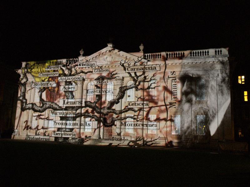Cambridge, England: Senate House: light show: Charles Darwin and evolutionary tree (Cambridge University 800th anniversary light show, officially 17-19 January 2009, light artist Ross Ashton)