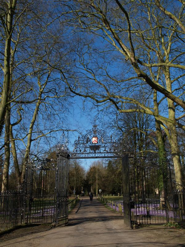 Cambridge, England: Trinity College: The Avenue gate, with Plain (Platanus) trees