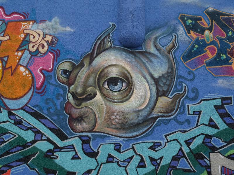 Nijmegen, Netherlands: Graafseweg (wall of bridge over railway line): fish (2008, Pirates of the Waal, Doe Nix Anders)