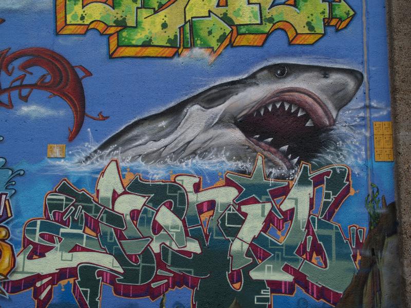 Nijmegen, Netherlands: Graafseweg (wall of bridge over railway line): shark (2008, Pirates of the Waal, Doe Nix Anders)
