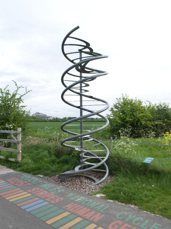 Cambridge, England: National Cycle Network, Route 11 (Cambridge to Great Shelford): double helix (c 2005)