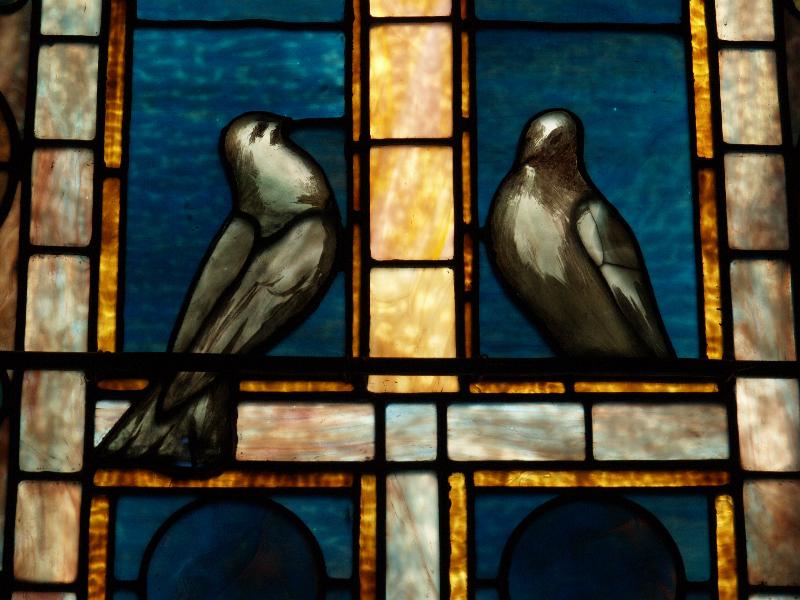 Buffalo, New York (NY): Episcopal Church of the Good Shepherd: Purity window, doves (1889, Tiffany Studios)