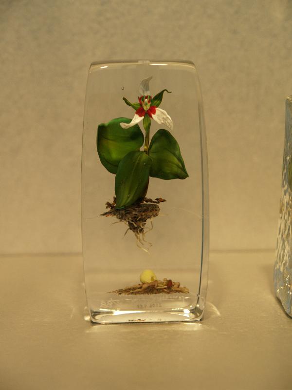Corning, New York (NY): Corning Museum of Glass: Trillium Study 4 (develop plant presentation 2/88) (1988, artist Paul J. Stankard)