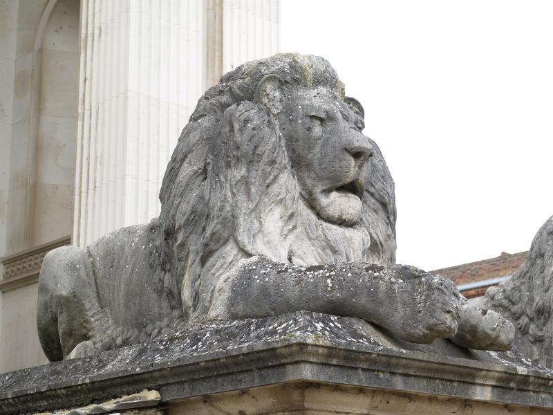 Cambridge, England: Fitzwilliam Museum: lion