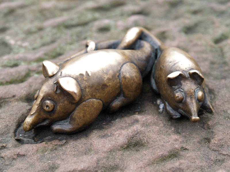 Heidelberg, Germany: Neckarstaden: mice (1979, sculptor Gernot Rumpf)