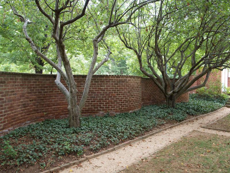 Charlottesville, Virginia (VA): University of Virginia: curving brick garden wall (1820s, architect Thomas Jefferson)