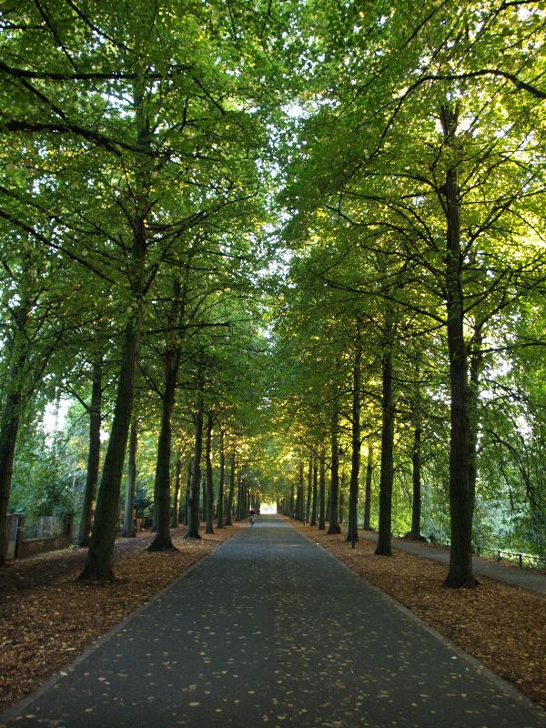 Munster, Germany: Promenade: view