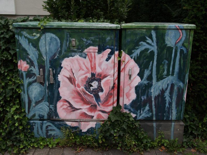 Munster, Germany: Munzstrasse: poppy painted on utility box