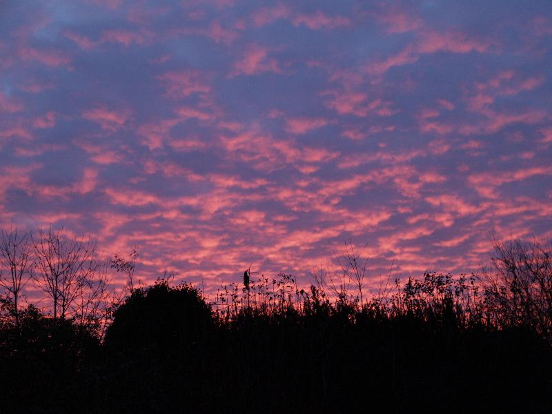 Cambridge, England: Roseford Road: sunrise