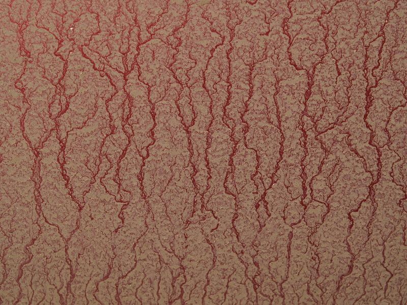 Manea, England: High Street: dirt on red car
