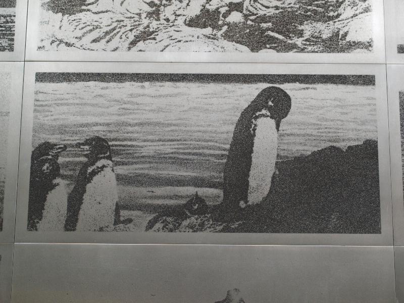 Cambridge, England: Botanic Garden: penguins (Galapagos, 2010, Norman Ackroyd)