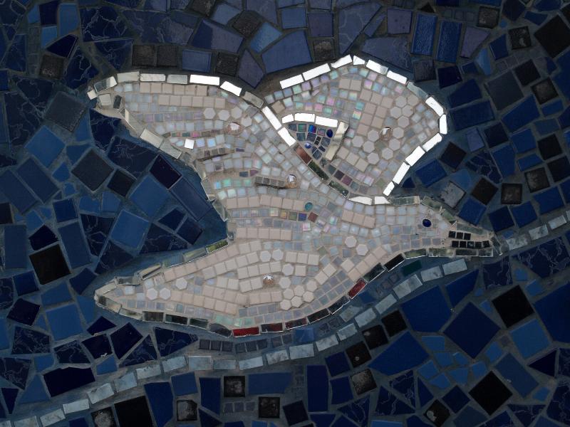 San Francisco, California (CA): Fell Street (between Pierce Street and Steiner Street): bird (2009, Kid Serve, Josef Norris)