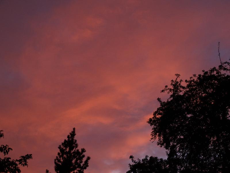 Cambridge, England: Roseford Road: sunset